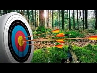 When you see Archery on target (A199)