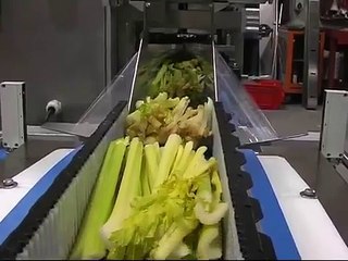 TECHNO-PAK AUSTRALIA BOX MOTION FLOW PACK MACHINE FOR M.A.P. PACKAGINGTucano 600