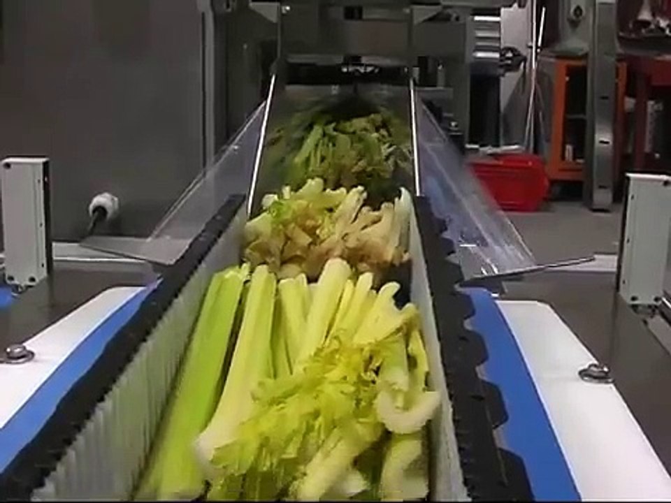 TECHNO-PAK AUSTRALIA BOX MOTION FLOW PACK MACHINE FOR M.A.P. PACKAGINGTucano 600