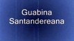 Musica Colombiana-Guabinas 3-guabina santandereana, Guabina huilense, Mi guabinita