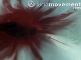 Another red drop into water in high-speed / slow motion