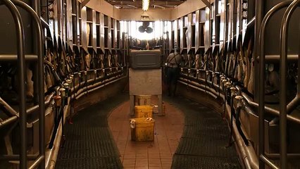 Capítulo 11: Verificación por Terceras Personas