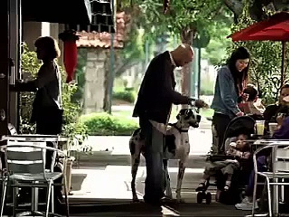 Petsmart Commercial