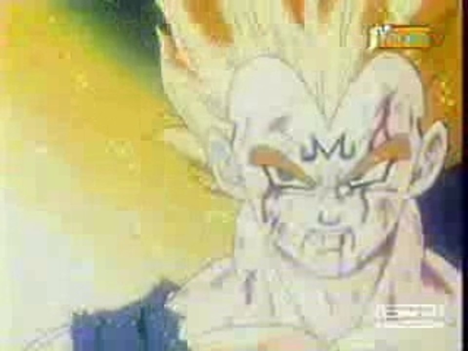 Sacrifice de Végéta