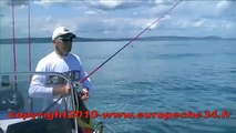 Pêche oblades aux leurres en mer europeche34