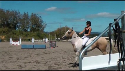BAREBACK and BRIDLELESS horse riding COMPILATION
