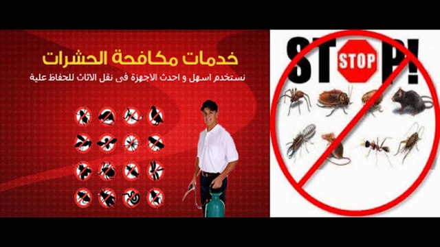 مكافحة حشرات 0544401211 المدينه المنوره وينبع