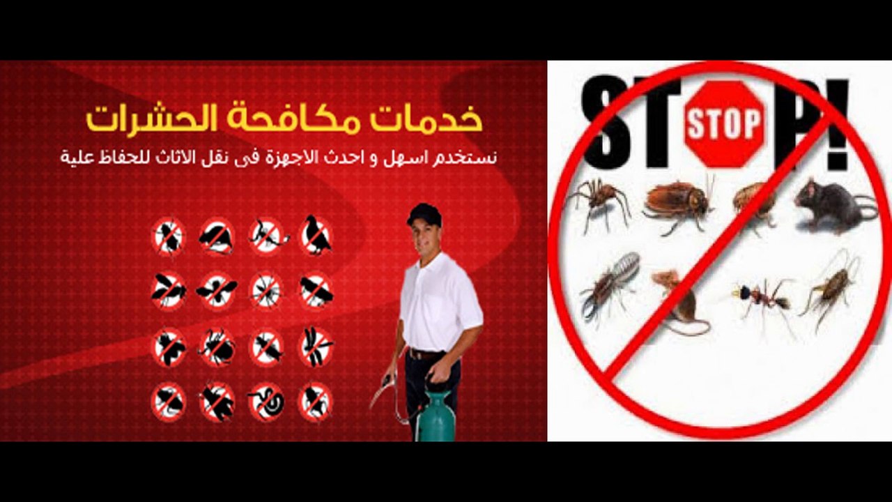 مكافحة حشرات 0544401211 المدينه المنوره وينبع