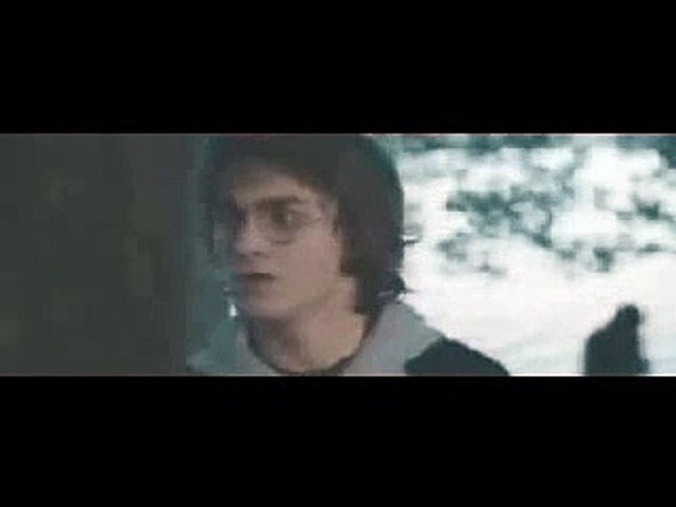 Harry and Hermione