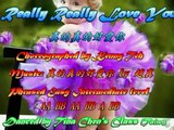 Really Really Love You (真的真的好愛你) - Line Dance (Kenny Teh)