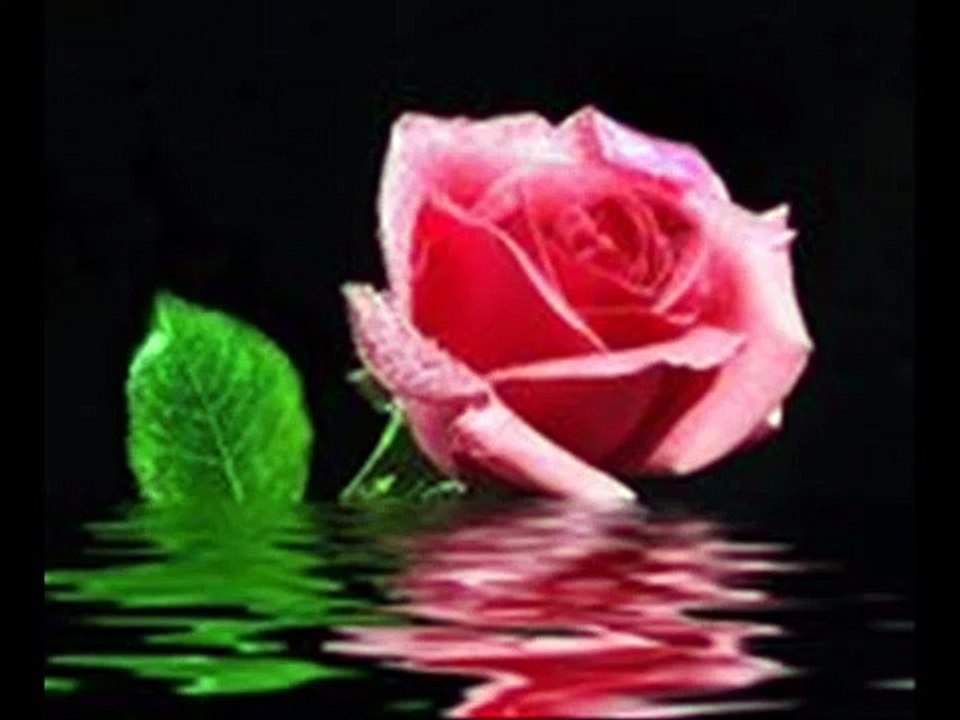 WHEN YOU TELL ME THAT YOU LOVE ME  - DIANA ROSS