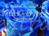 te amo, te extrano -orquesta guayacan