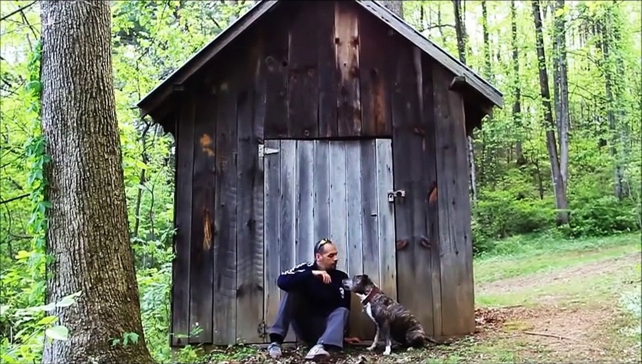 Voilà pourquoi vous ne devriez jamais renoncer à adopter un chien âgé !
