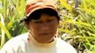 Amazônia peruana devastada por índios