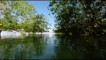 The Best & Most Beautiful Arabic Song