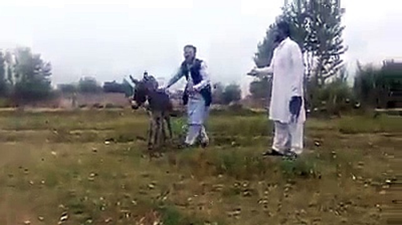 Donkey Vs Pathan