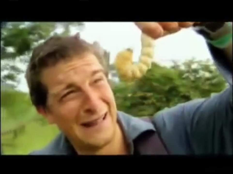 "Man vs Wild" : il mange une larve géante