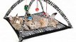 New Cat Activity Center with Hanging Toy Balls, Mice & More - He