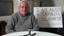 Chomsky Gezi Parki Direnisini Selamliyor / Chomsky Salutes the Gezi Park Resistance