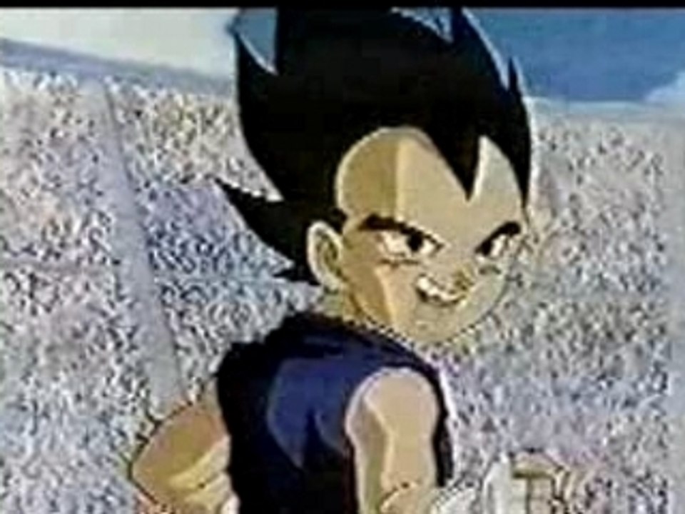 Vegetajrvsgokujr
