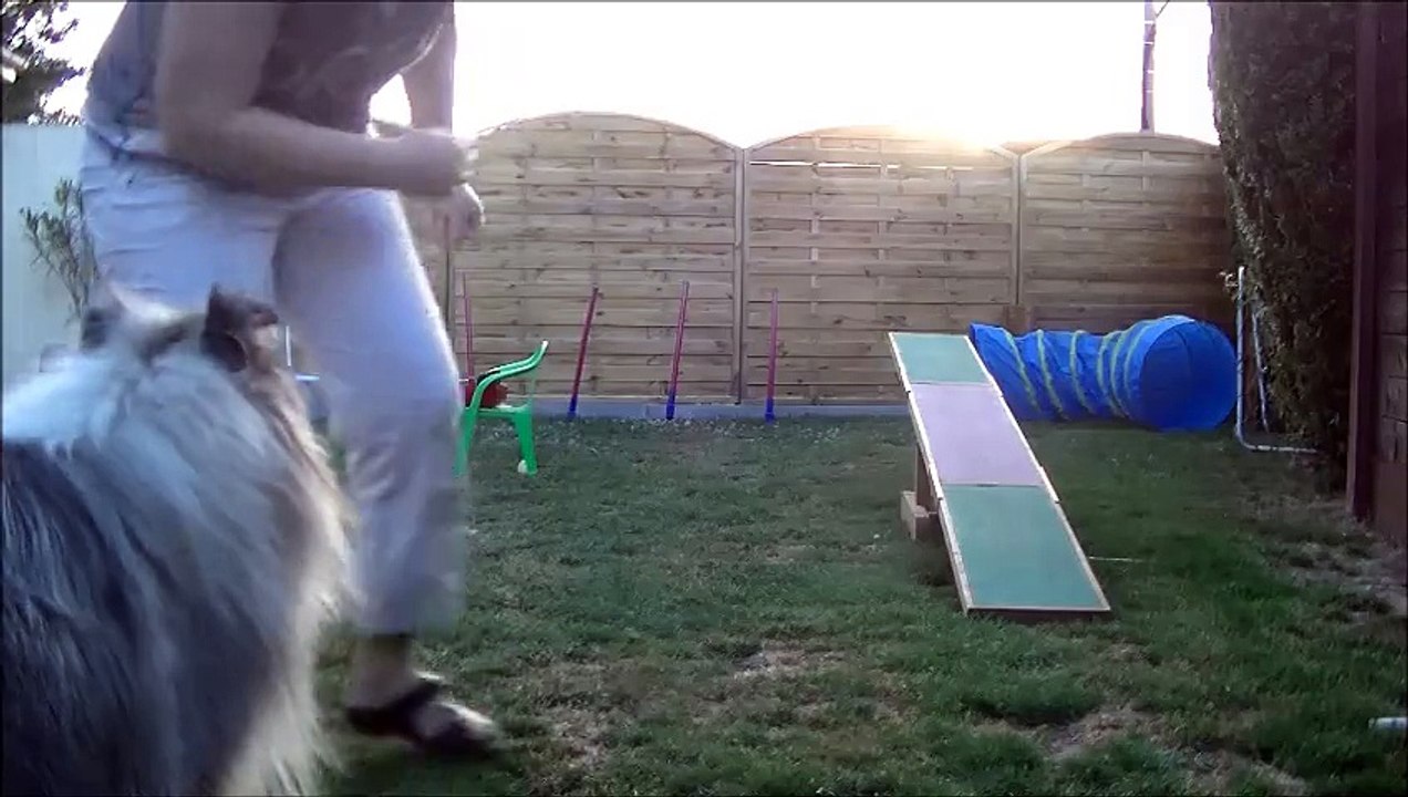 iona entrainement agility