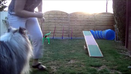 iona entrainement agility