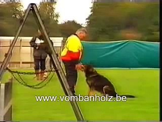 Xato von der bösen Nachbarschaft