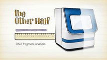 Fragment Analysis -- the Other Half of your Applied Biosystems' Genetic Analyzer