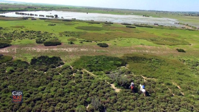 CSO Etangs de Vendres