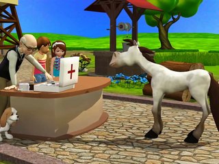 Understanding Ordinal Numbers 📚