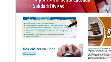 ¿Cómo llenar el Formulario 01B?