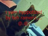 My Cat Eats Ramen