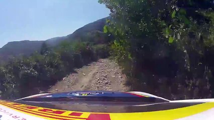 Quand Bambi fait la course avec une voiture de rallye !