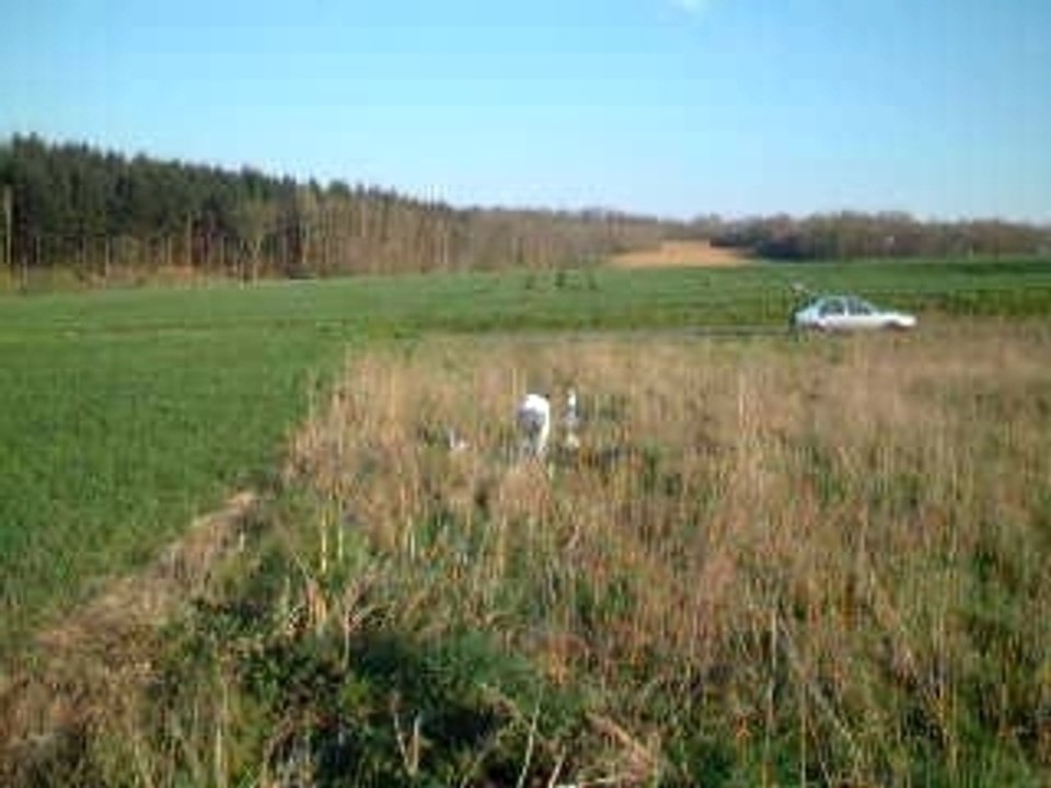 Fusée a eau