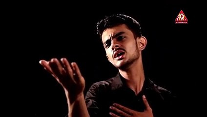 haider a.s ka janaza by SaMir BaLtee 2015-16