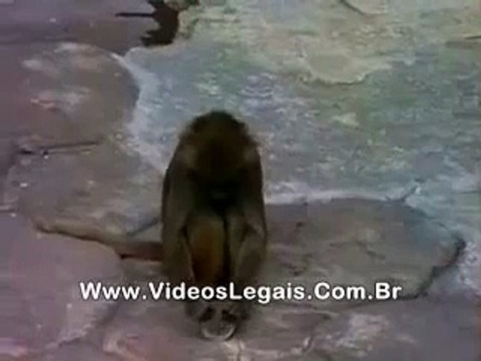 Inche Chango Pendejo
