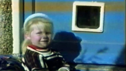 Dogs Getting Stuck in the Kitty Door