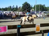 Bucking horse go wild !!