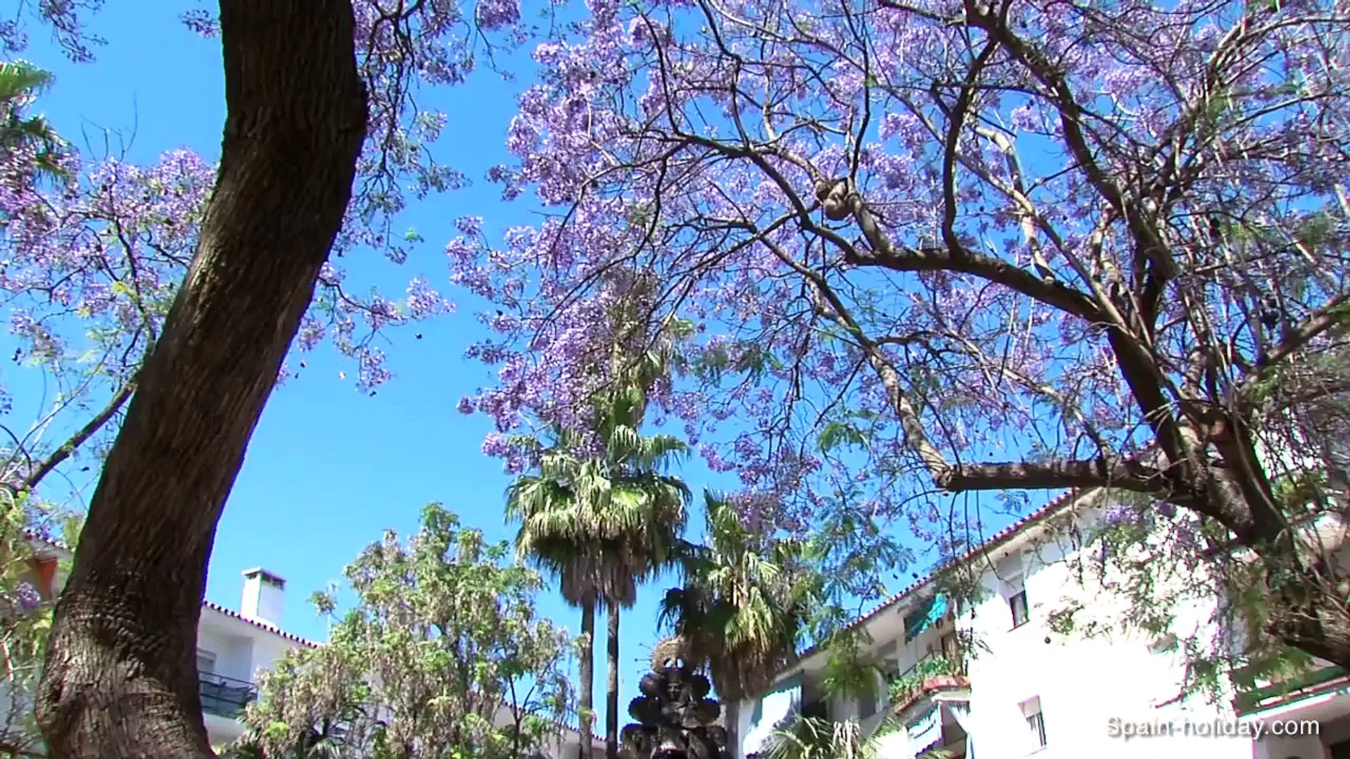 Estepona Travel Video