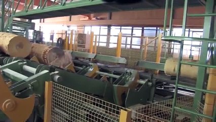 Holzwerk Keck - Neue Bandsäge (Fordaq)