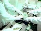 Russian KGB Alien Autopsy Real UFO