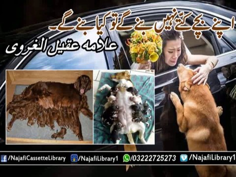 Kuttay | Allama Aqeel-ul-Gharvi