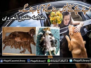 Kuttay | Allama Aqeel-ul-Gharvi