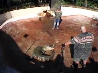 J-MART from GATOR BOYS training session with GUS ONEBEAR /P4