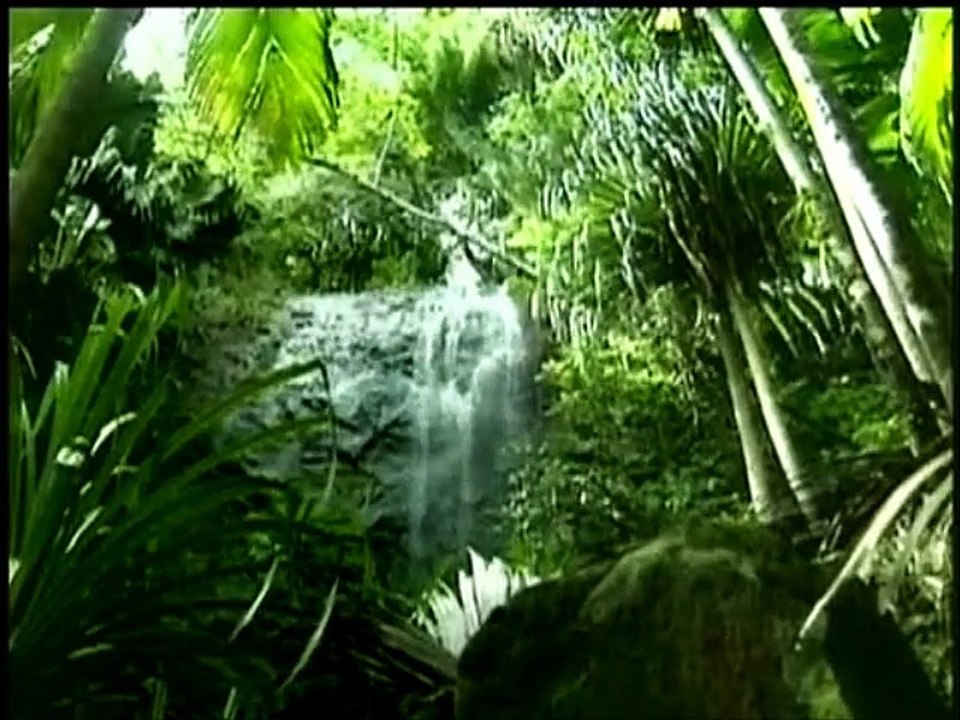 Video-Dizeler Video