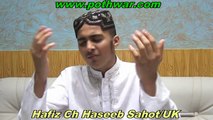 Hafiz Ch Haseeb Sahot,UK