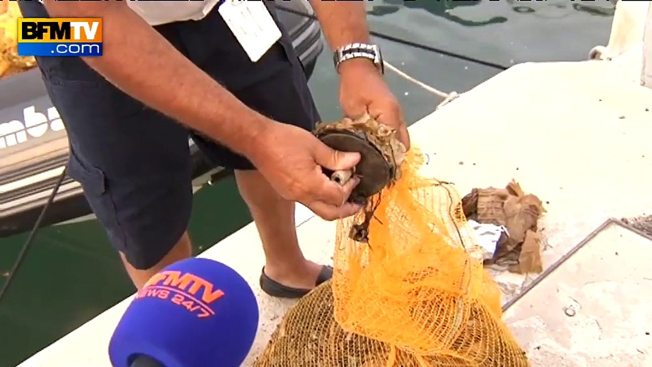 Cannes: opération nettoyage des fonds marins après les feux d’artifices du 14-juillet