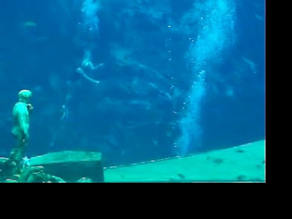 Weeki Wachee "Deep Dive"