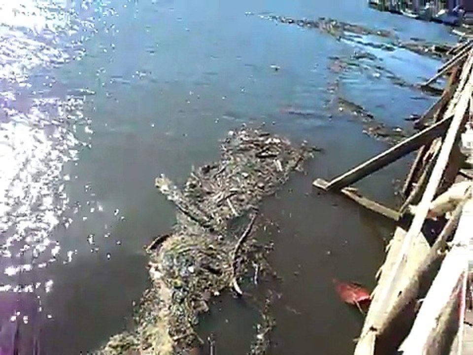 tsunami llega a constitucion chile