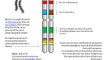 Chromosomes, genes and alleles